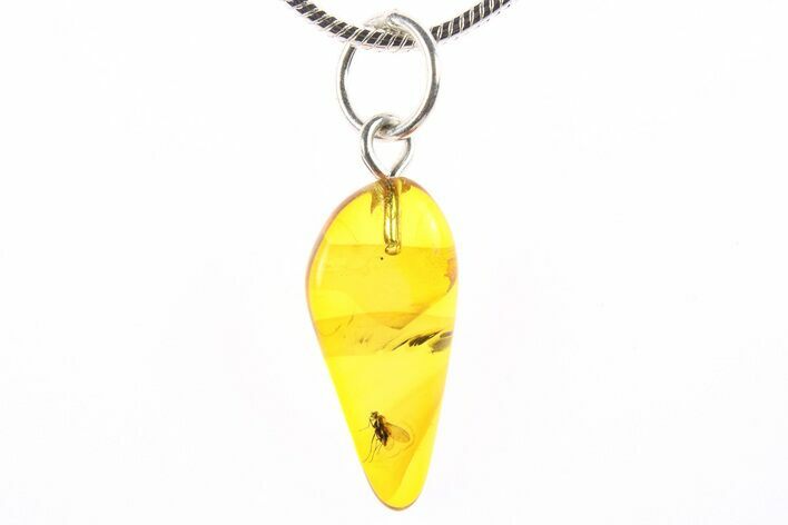 Polished Baltic Amber Pendant (Necklace) - Contains Fly! #273769